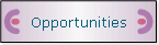 Opportunities